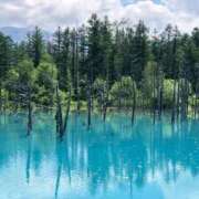 ヒメ日記 2026/02/18 05:46 投稿 みか SOAPLAND LOVE FACTORY