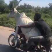 ヒメ日記 2026/02/23 19:12 投稿 みか SOAPLAND LOVE FACTORY