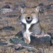 ヒメ日記 2026/03/01 10:11 投稿 みか SOAPLAND LOVE FACTORY