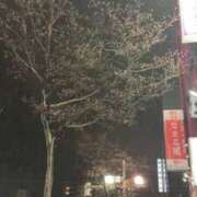 ヒメ日記 2026/04/08 03:42 投稿 みか SOAPLAND LOVE FACTORY