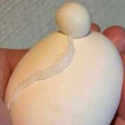 ヒメ日記 2026/06/02 04:12 投稿 みか SOAPLAND LOVE FACTORY