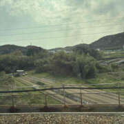 ヒメ日記 2025/04/08 14:21 投稿 たお 奥鉄オクテツ和歌山