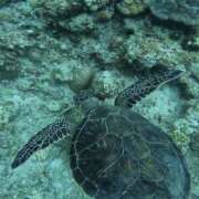 ヒメ日記 2025/08/09 20:19 投稿 たお 奥鉄オクテツ和歌山