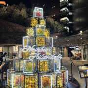 ヒメ日記 2025/12/01 18:15 投稿 たお 奥鉄オクテツ和歌山