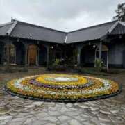 ヒメ日記 2025/03/21 15:16 投稿 ののか スピード京橋店