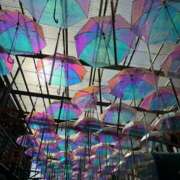 ヒメ日記 2025/03/27 15:22 投稿 ののか スピード京橋店