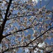 ヒメ日記 2025/04/10 16:12 投稿 ののか スピード京橋店