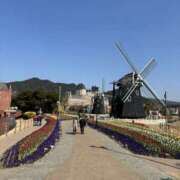 ヒメ日記 2025/05/01 17:12 投稿 ののか スピード京橋店