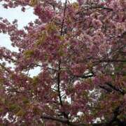 ヒメ日記 2025/05/08 16:22 投稿 ののか スピード京橋店