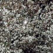 ヒメ日記 2025/04/06 18:54 投稿 にちか 熟女の風俗最終章 仙台店