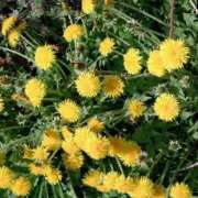 ヒメ日記 2025/04/13 09:25 投稿 にちか 熟女の風俗最終章 仙台店