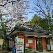 ヒメ日記 2025/04/15 10:12 投稿 にちか 熟女の風俗最終章 仙台店