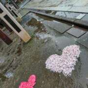 ヒメ日記 2025/04/16 09:37 投稿 にちか 熟女の風俗最終章 仙台店