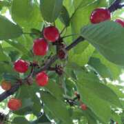 ヒメ日記 2025/06/27 11:59 投稿 にちか 熟女の風俗最終章 仙台店