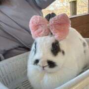 ヒメ日記 2025/12/02 12:19 投稿 桃江～MOMOE～ BBW 西川口店