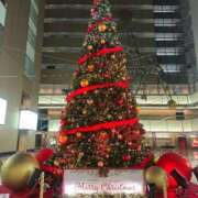 ヒメ日記 2025/12/03 19:03 投稿 みき ニューグランド