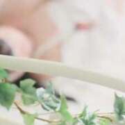 ヒメ日記 2025/12/06 09:13 投稿 みき ニューグランド