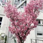 ヒメ日記 2026/03/30 20:43 投稿 みき ニューグランド