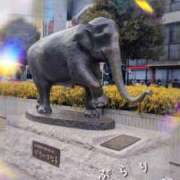 ヒメ日記 2025/03/01 22:00 投稿 きずな 横浜人妻ヒットパレード（シンデレラグループ）