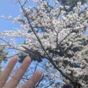 ヒメ日記 2025/03/31 22:49 投稿 きずな 横浜人妻ヒットパレード（シンデレラグループ）