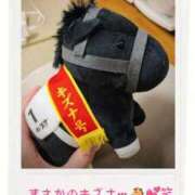 ヒメ日記 2025/11/27 19:57 投稿 きずな 横浜人妻ヒットパレード（シンデレラグループ）