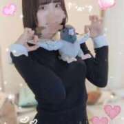 ヒメ日記 2026/02/13 19:37 投稿 きずな 横浜人妻ヒットパレード（シンデレラグループ）