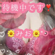 ヒメ日記 2025/02/03 11:03 投稿 みお 那須塩原人妻花壇