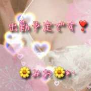 ヒメ日記 2025/04/24 14:27 投稿 みお 那須塩原人妻花壇