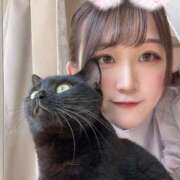 ヒメ日記 2025/04/27 19:16 投稿 さゆり 東京リップ 池袋店