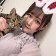 ヒメ日記 2025/04/28 13:00 投稿 さゆり 東京リップ 池袋店