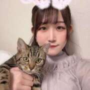 ヒメ日記 2025/05/16 07:01 投稿 さゆり 東京リップ 池袋店