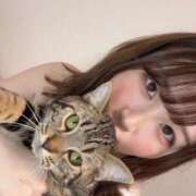 ヒメ日記 2025/05/20 16:11 投稿 さゆり 東京リップ 池袋店