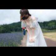 ヒメ日記 2025/08/12 09:14 投稿 さゆり 東京リップ 池袋店