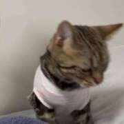 ヒメ日記 2025/10/16 14:12 投稿 さゆり 東京リップ 池袋店