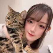 ヒメ日記 2025/12/14 11:22 投稿 さゆり 東京リップ 池袋店