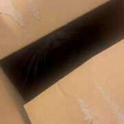 ヒメ日記 2025/12/16 07:02 投稿 さゆり 東京リップ 池袋店