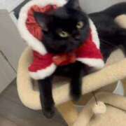 ヒメ日記 2025/12/25 21:12 投稿 さゆり 東京リップ 池袋店