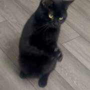 ヒメ日記 2026/01/02 00:12 投稿 さゆり 東京リップ 池袋店