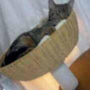 ヒメ日記 2026/01/05 13:02 投稿 さゆり 東京リップ 池袋店