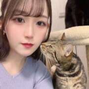 ヒメ日記 2026/02/06 14:13 投稿 さゆり 東京リップ 池袋店