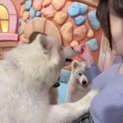 ヒメ日記 2026/02/16 12:17 投稿 さゆり 東京リップ 池袋店