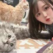 ヒメ日記 2026/02/23 20:16 投稿 さゆり 東京リップ 池袋店