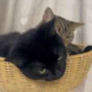 ヒメ日記 2026/02/24 09:19 投稿 さゆり 東京リップ 池袋店