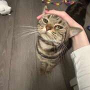 ヒメ日記 2026/03/02 10:19 投稿 さゆり 東京リップ 池袋店