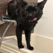 ヒメ日記 2026/03/04 13:57 投稿 さゆり 東京リップ 池袋店