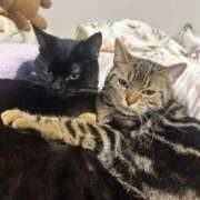 ヒメ日記 2026/03/05 14:07 投稿 さゆり 東京リップ 池袋店