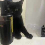 ヒメ日記 2026/03/09 12:17 投稿 さゆり 東京リップ 池袋店