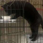 ヒメ日記 2026/03/13 09:07 投稿 さゆり 東京リップ 池袋店