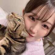 ヒメ日記 2026/03/18 07:07 投稿 さゆり 東京リップ 池袋店