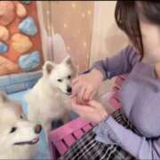 ヒメ日記 2026/03/19 12:17 投稿 さゆり 東京リップ 池袋店